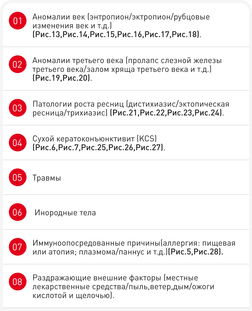tabl2 (1).png