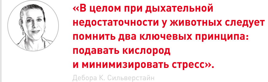 Frame 2087331092.png