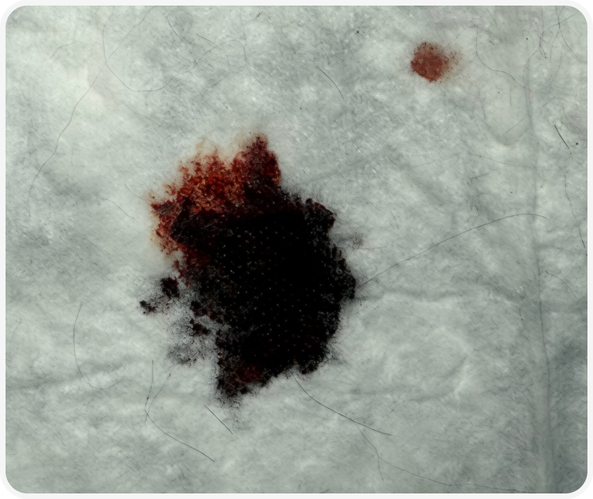 Frame 2087331109 (2).png