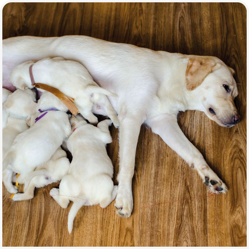 321-SANTOS-Figure-2 (2).png