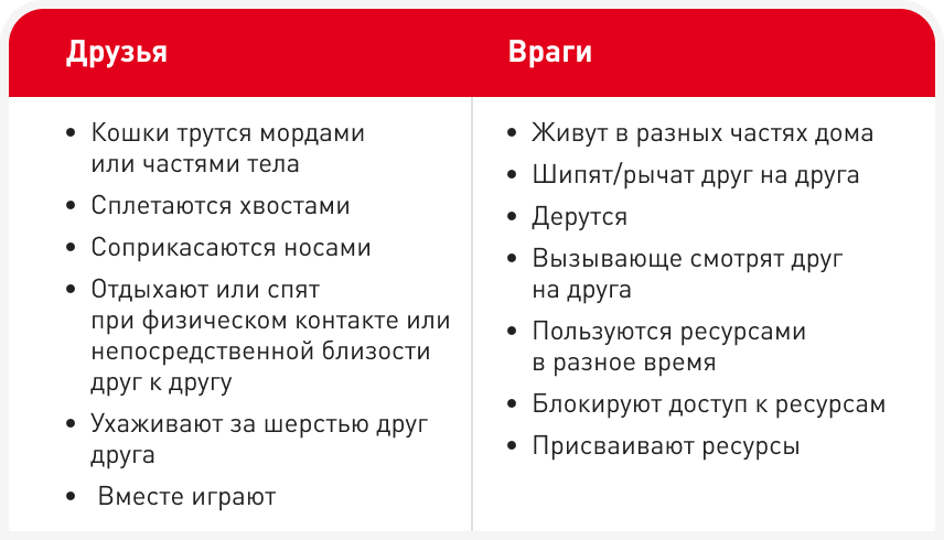 FOCUS_322_ELLIOTT_Figure-3 1.png