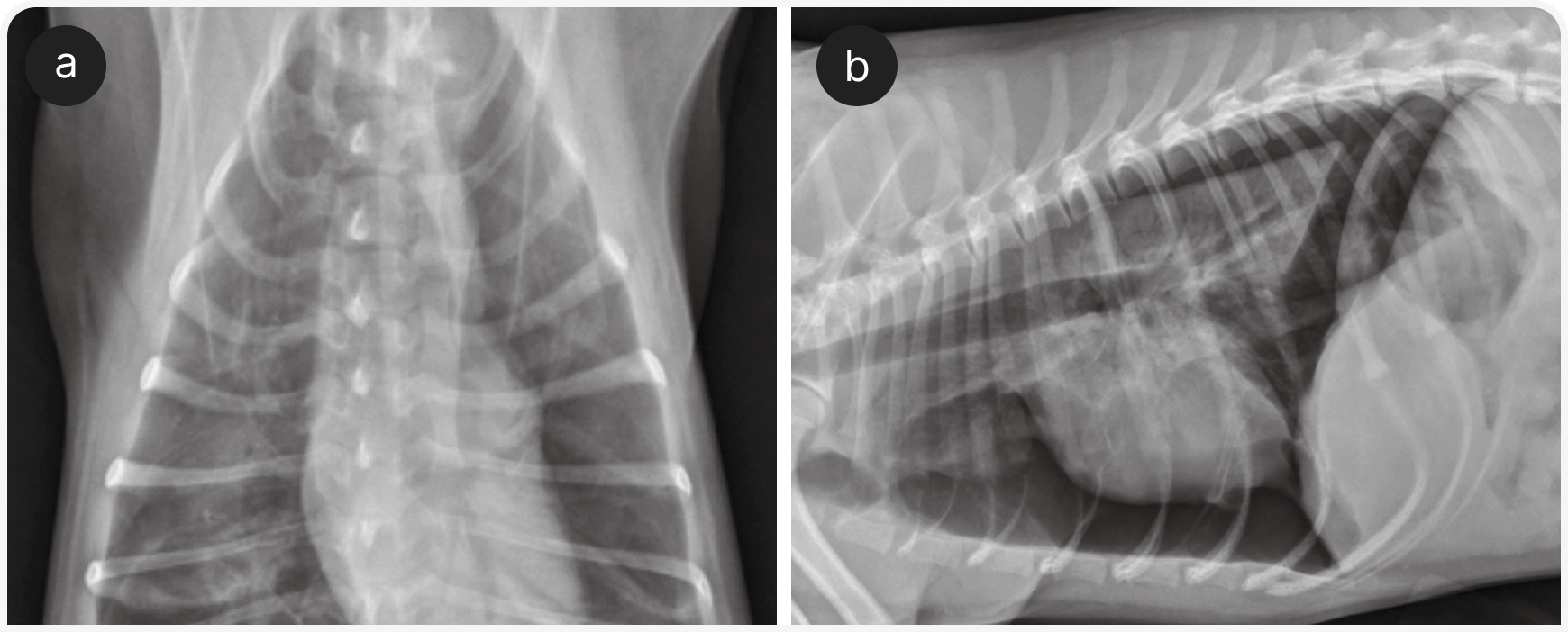 332_VF_Art5_Figure-5 (4).png