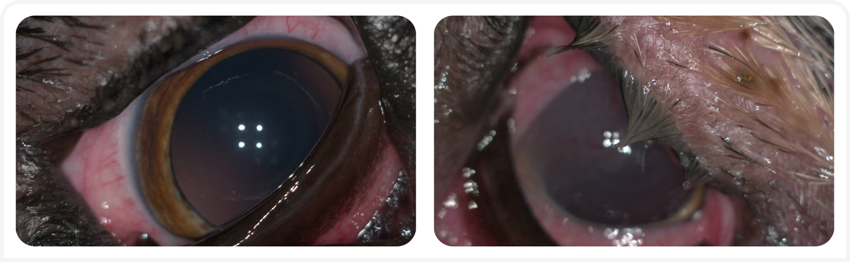 tabl (3).png