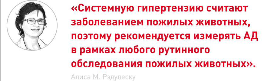 врезка.png врезка.png