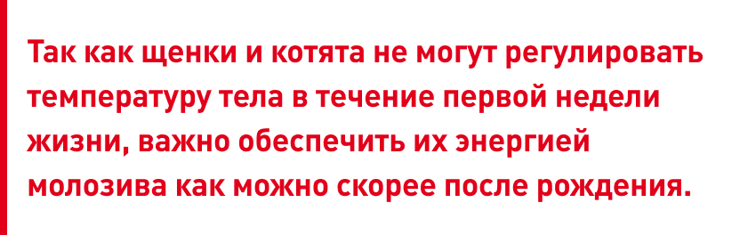 neonat2_fig 3 (1).png