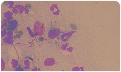 281_art5–Figure 7 1.png