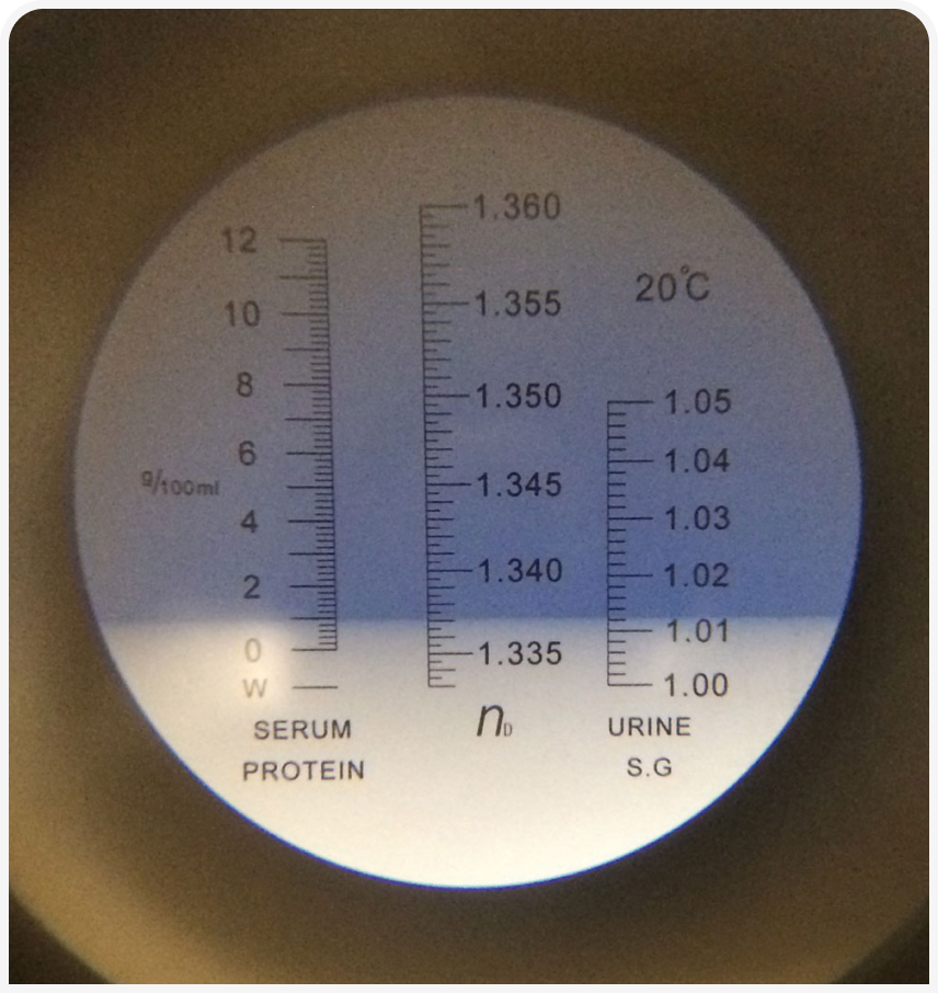 321-CHASTANT-Figure-3.png 321-CHASTANT-Figure-3.png