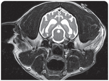 281_art5–Figure 1 (3).png