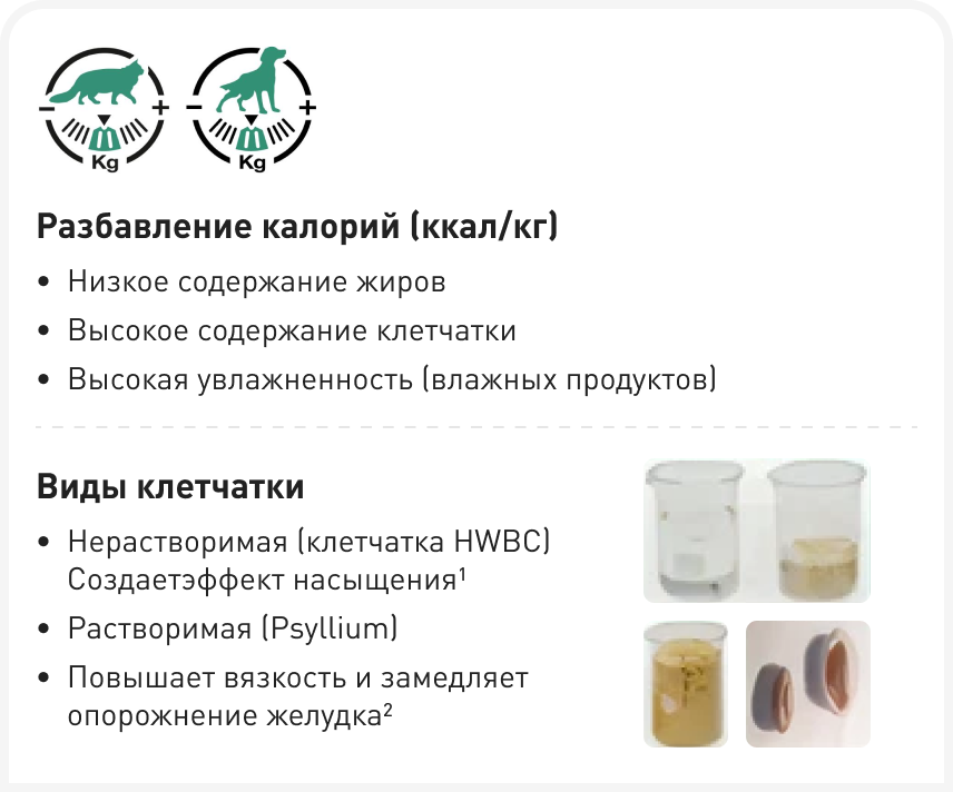 FOCUS_322_ELLIOTT_Figure-3 1 (6).png