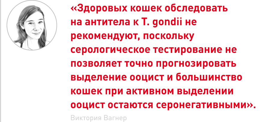 врезка (1).png