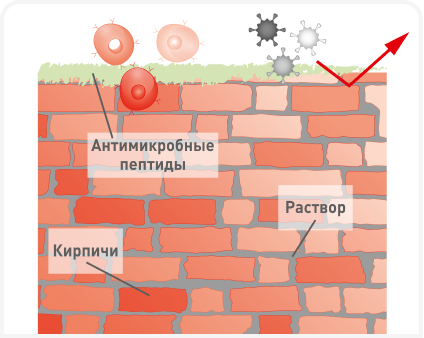 FIGURE 1A_271123.png