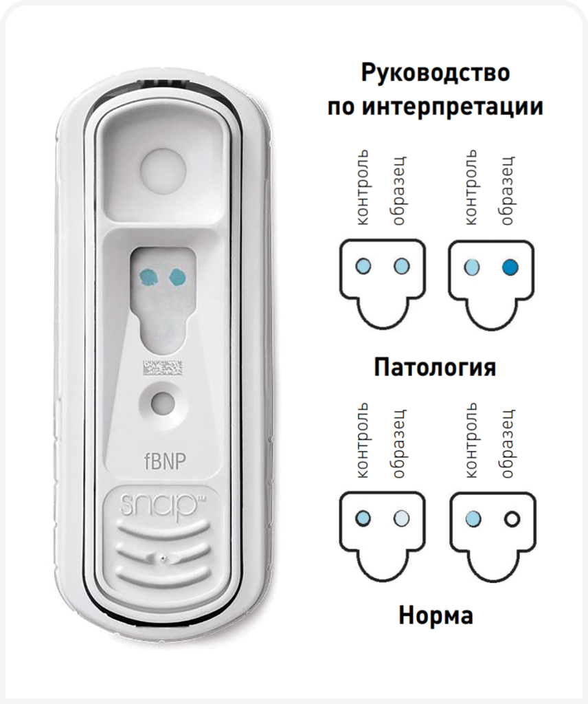 FOCUS_322_ELLIOTT_Figure-3 1 (2).png