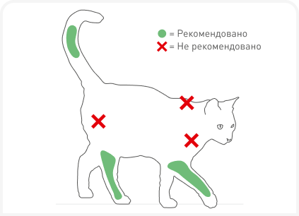 321-STDENIS -LE CHAT-FIG 2_161121.png