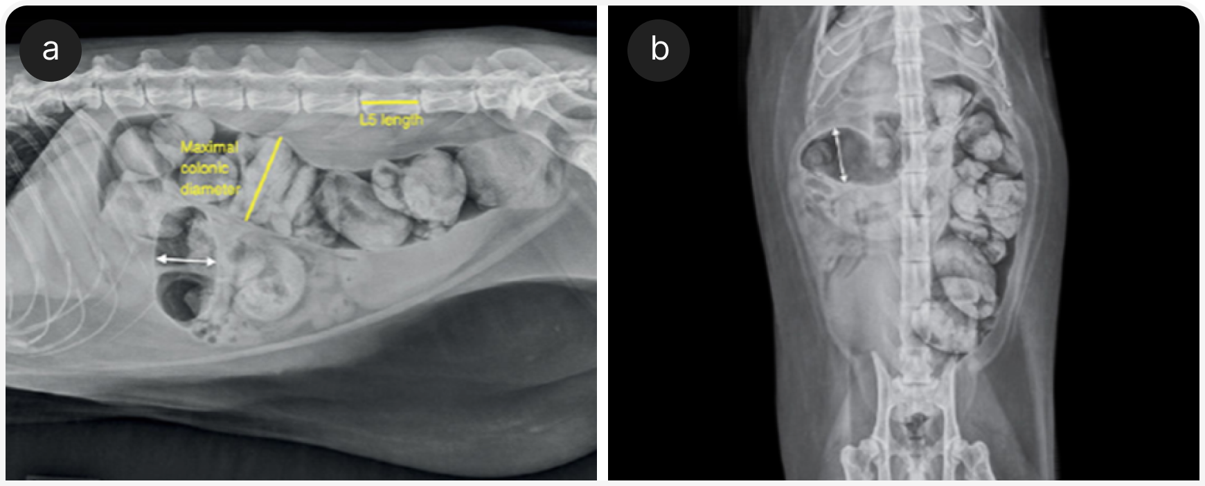 332_VF_Art5_Figure-5 (1).png