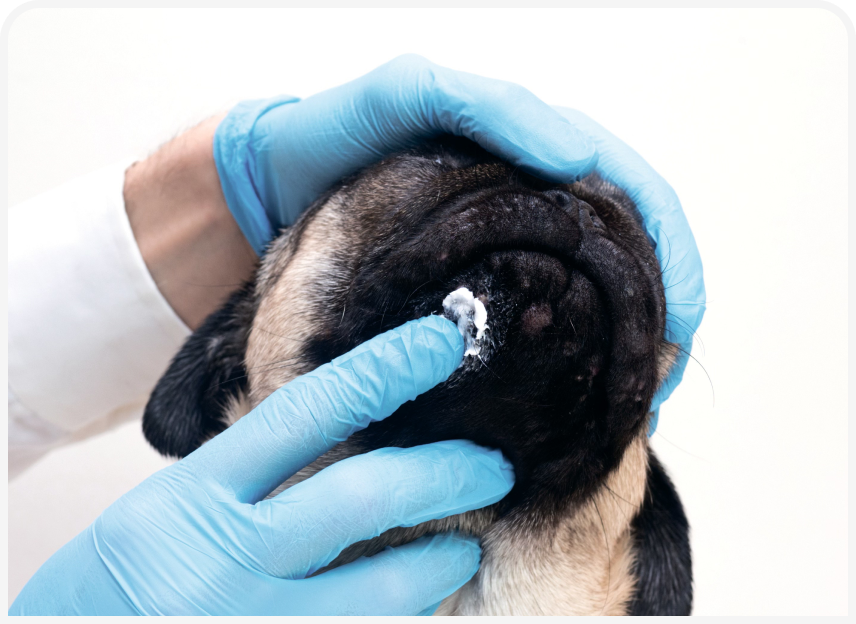 FOCUS-334-Leonard-Figure-4 (2).png