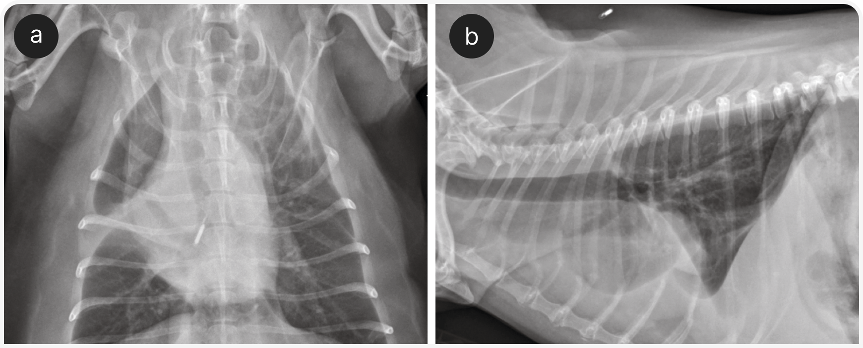 332_VF_Art5_Figure-5 (3).png