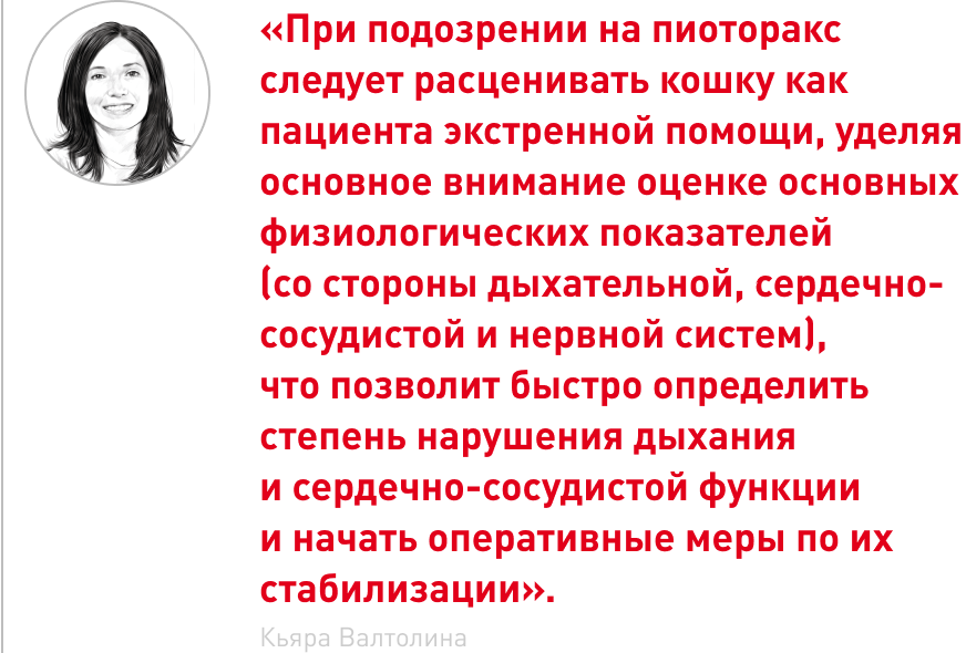 врезка 1 (1).png