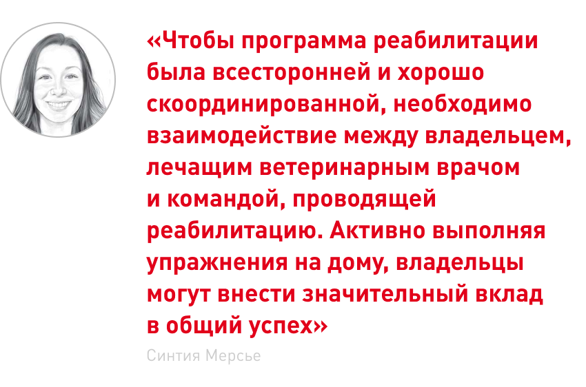 лектор.png