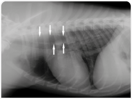 281_art5–Figure 3 (3).png