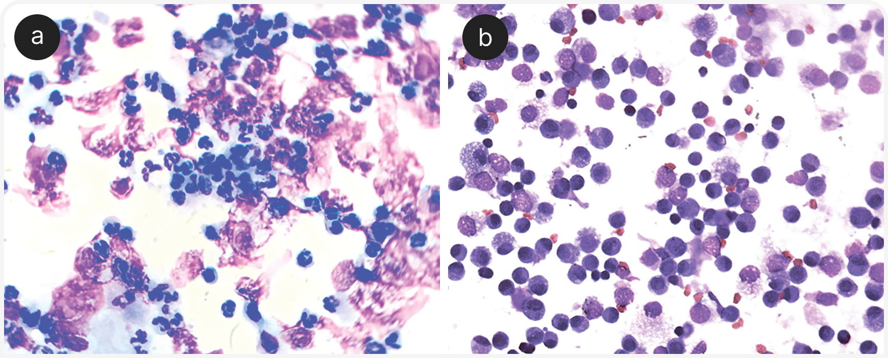 332_VF_Art5_Figure-5 (1).png