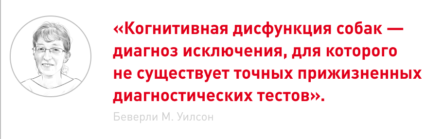 Frame 2087331092.png
