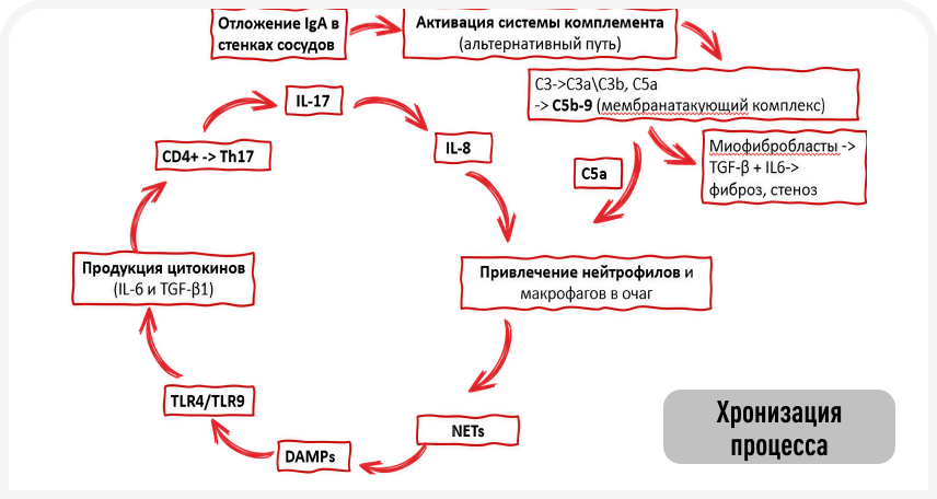 fig1 (1).png
