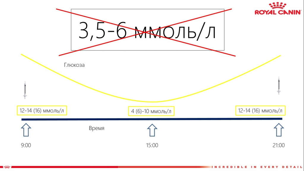 diabet2.png