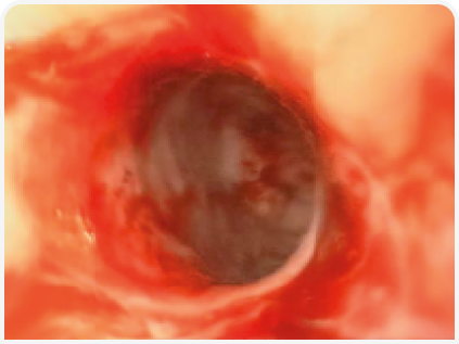 281_art5–Figure 2 (5).png