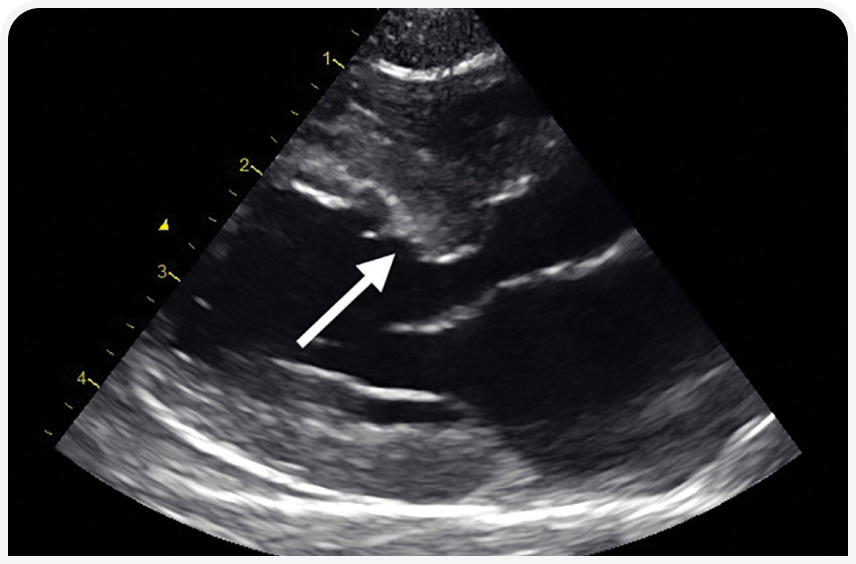 FOCUS_322_RADULESCU_Figure-3.png FOCUS_322_RADULESCU_Figure-3.png