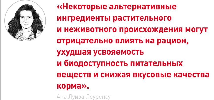 врезка 1 (3).png