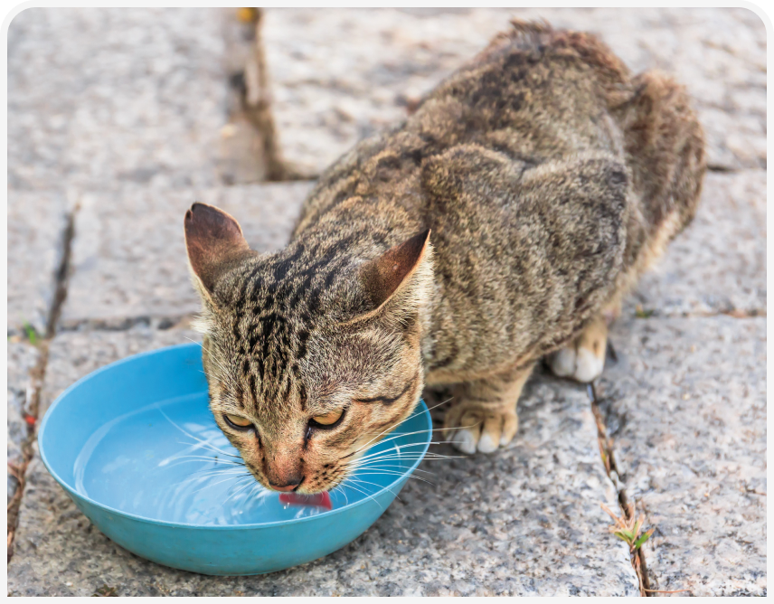 FOCUS-334-Pieper-Figure-4 (4).png