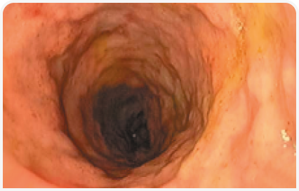 281_art5–Figure 7 1 (4).png