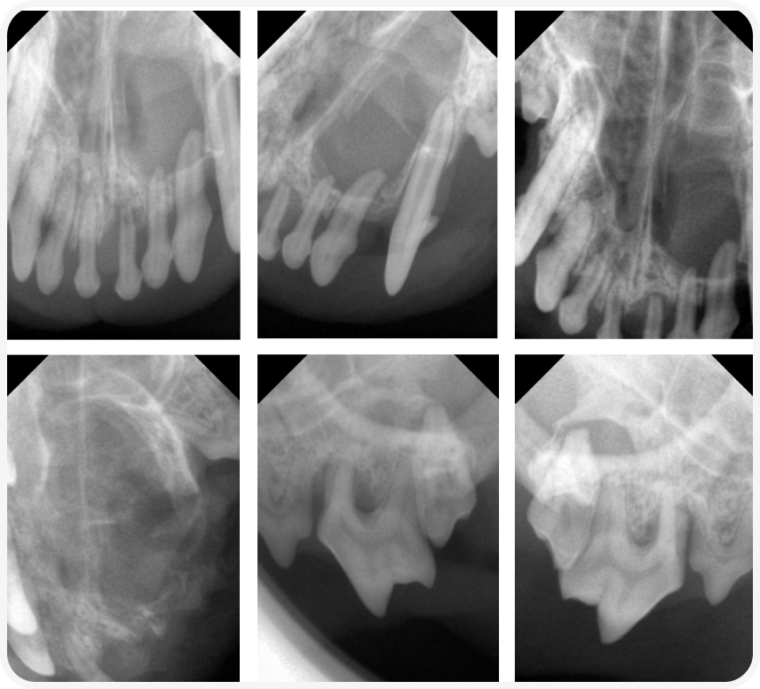 Frame 2087331109 (2).png