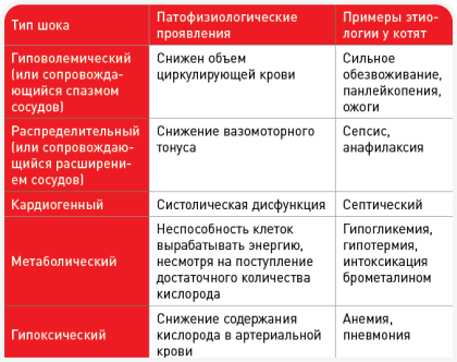image 21.png