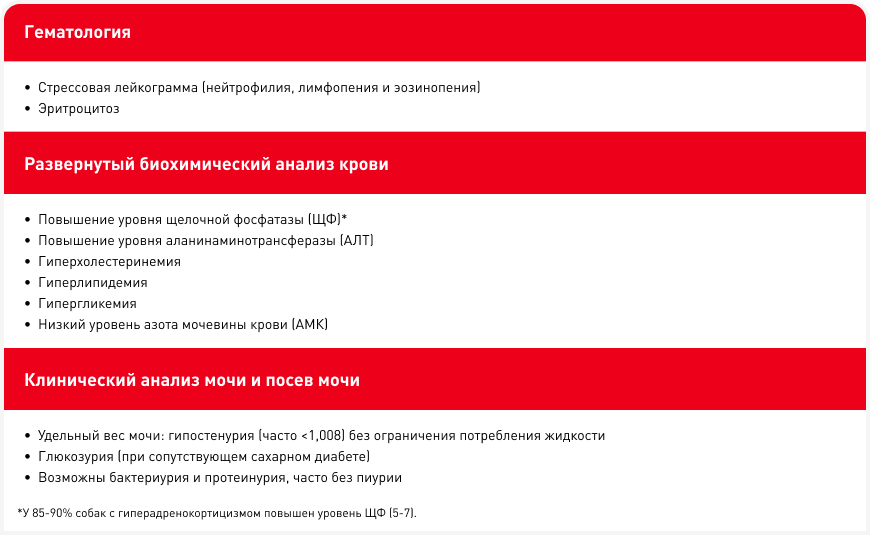 Диалог 2.png