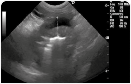 281_art5–Figure 7 1 (1).png