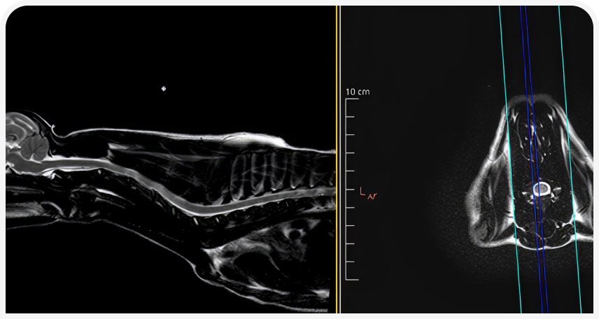fig1 (3).png
