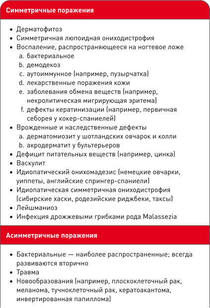Table (1).png