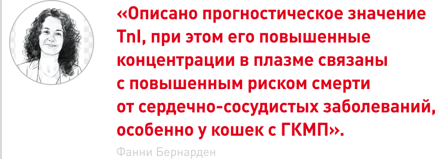врезка (1).png