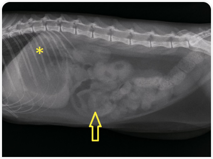 281_art5–Figure 3.png