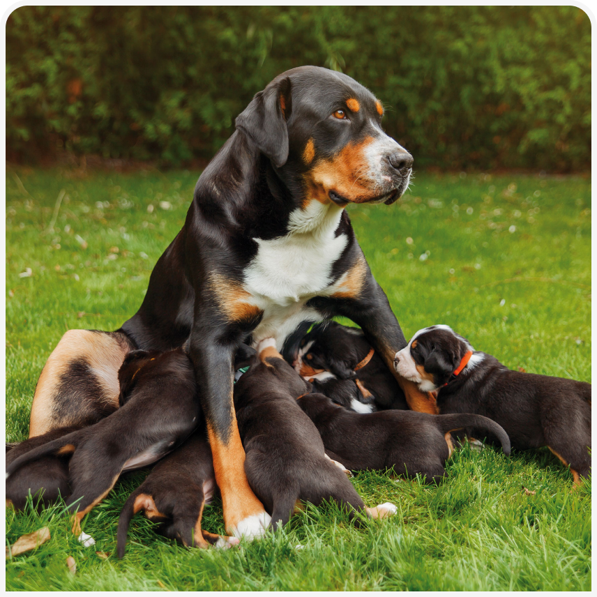 321-SANTOS-Figure-2 (1).png