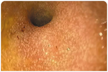 281_art5–Figure 7 1 (3).png