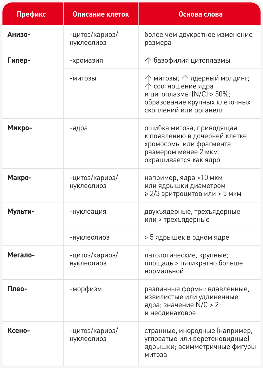 FOCUS (2).png