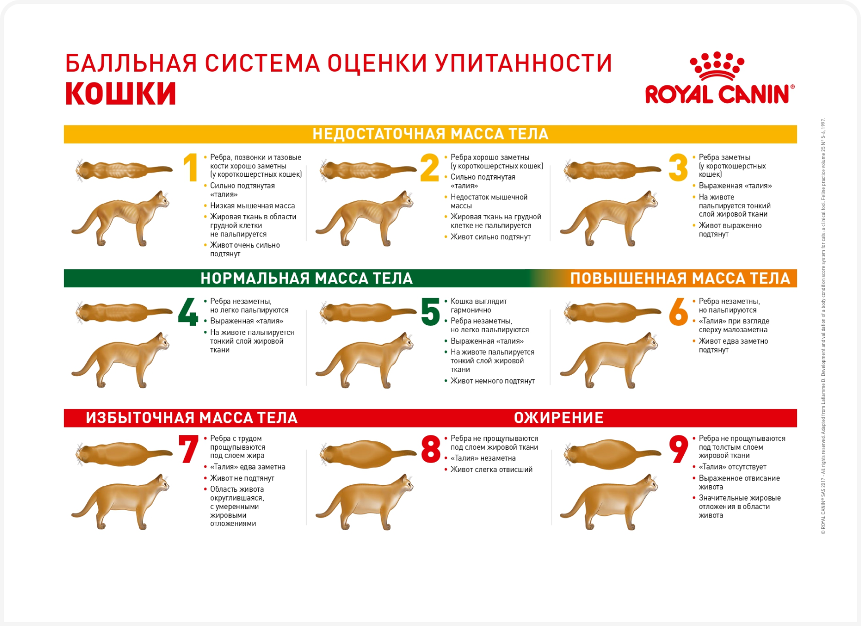 tabl 1 (1).png