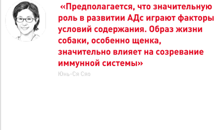 врезка 3.png
